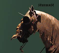 Sturmast : Ibis Redibis Nunquam in Bello Peribis